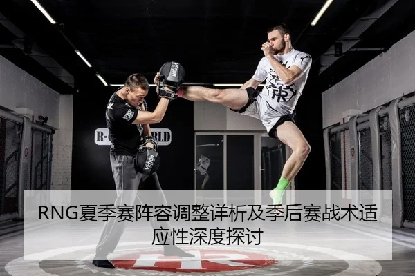 RNG夏季赛阵容调整详析及季后赛战术适应性深度探讨